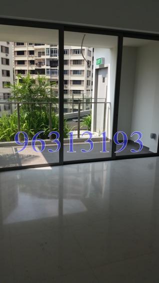 Starlight Suites (D9), Apartment #187221562
